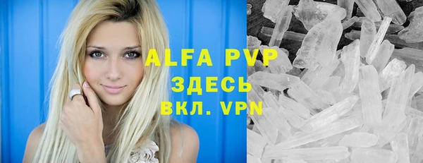 apvp Верея