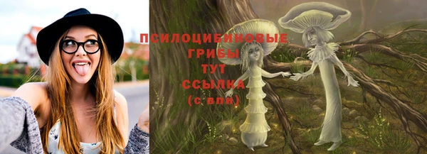 прущая мука Бородино