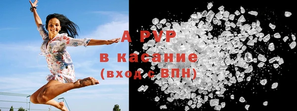 apvp Верея